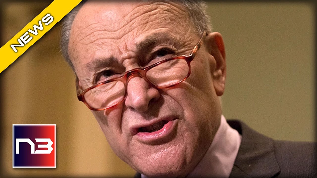 Sparring Match! Schumer Struggles with CNN Over Biden Scandal