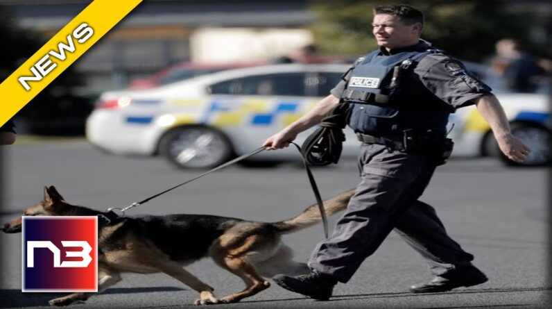 Breaking Alert: California Set To Be The First State To Ban Police K9s - Is This Racist?