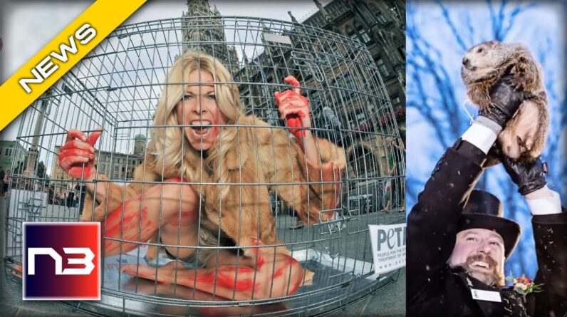 PETA Proposes Insane Swap: A Caged 'Human' For Groundhog Day!