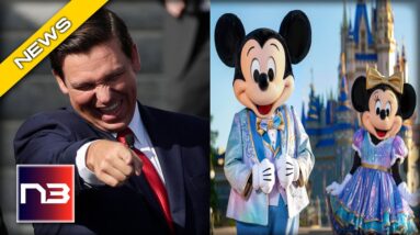 The Florida Plan To Seize Walt Disney World - Find Out More Here!