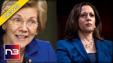 CAT FIGHT! Drama As Harris Snubs Warren After 2024 Insult