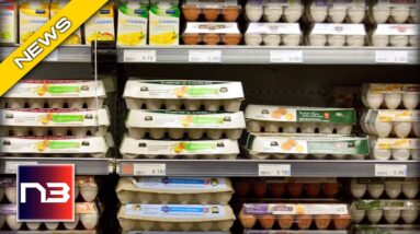 Popular Store Forced to Stop Selling Eggs Due to Price Increase!