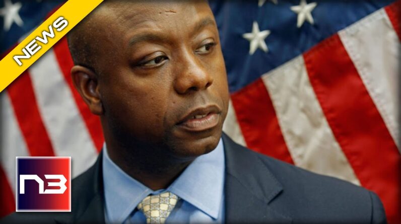 Senator Tim Scott Exposes The Left's Agenda Of Victimhood And Despair