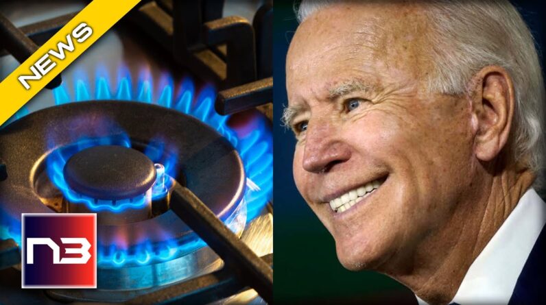 The Shocking Truth About Biden's Attack On American Kitchens