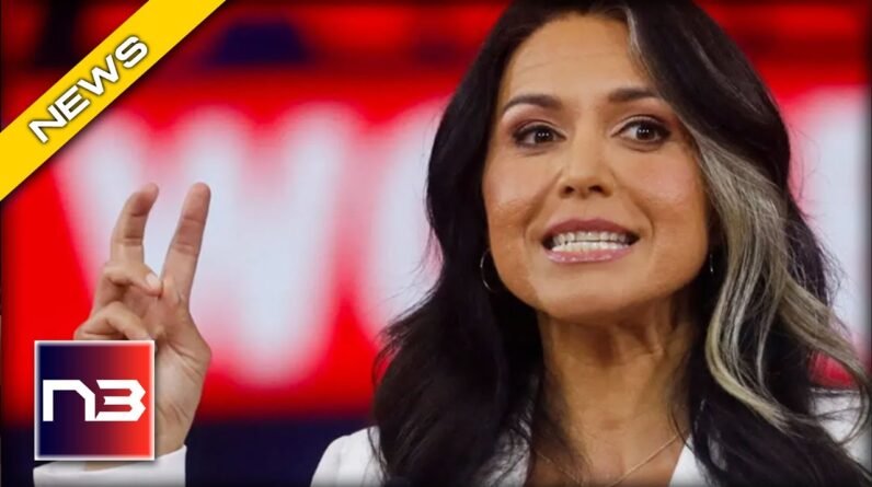 Tulsi Gabbard exposes Dems' warmongering!