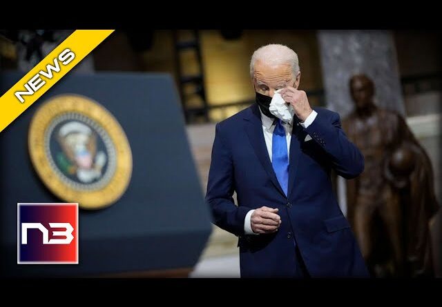 Biden's Campaign: A Case of Elder Abuse?