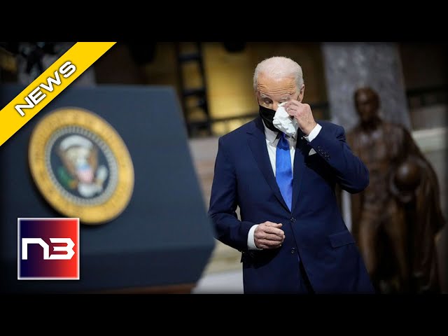 Biden's Campaign: A Case of Elder Abuse?