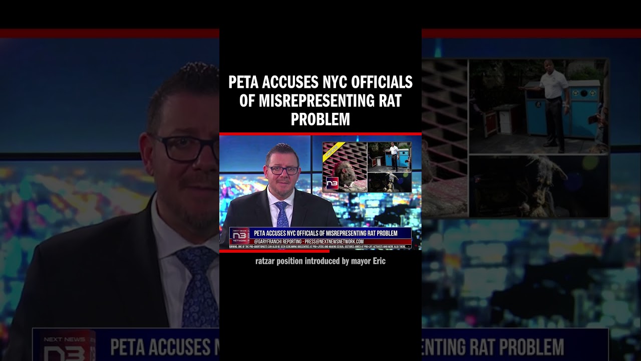 PETA Accuses NYC Officials of Misrepresenting Rat Problem