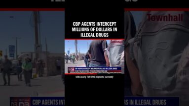 CBP Agents Intercept Millions of Dollars in Illegal Drugs