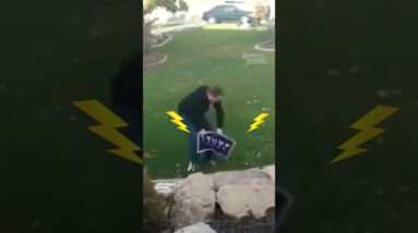 Electrified Trump Sign is WILD⚡️