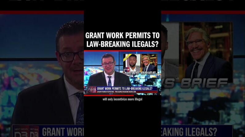 Grant Work Permits to Law-Breaking Ilegals?