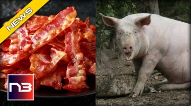 Why This Supreme Court Ruling Could Change the Way You Eat Pork Forever