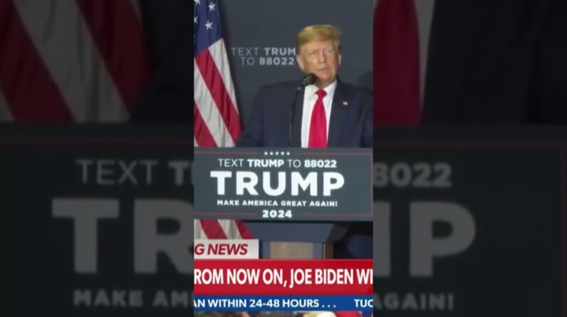 Trump Ruthlessly Mocks Biden