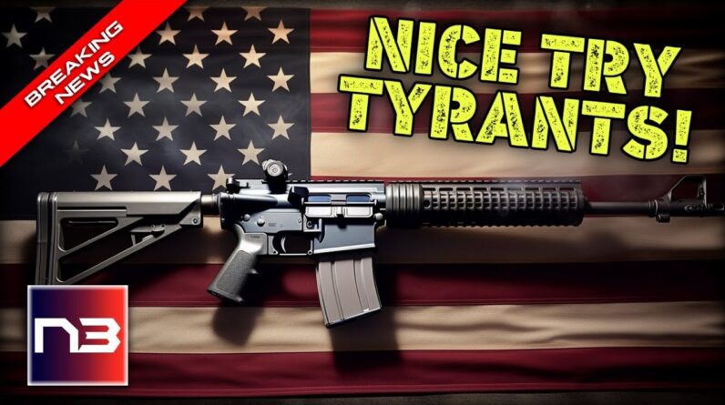 Unstoppable AR-15s: Judge Shuts Down Democrat's Ban Attempt!