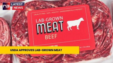 USDA Shocks the World: Futuristic Lab-Grown Meat Now Fully Authorized for Sale!