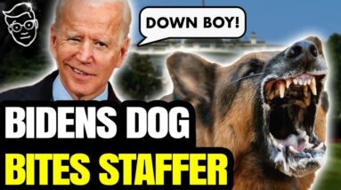 Biden's Dog ATTACKED Secret Service +10 Times! SS: 'Put Dog Down After Extremely Aggressive Rampage'