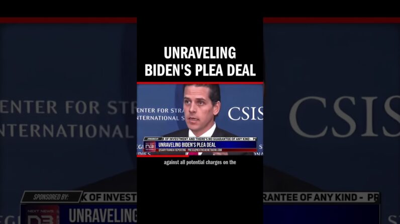 Unraveling Biden's Plea Deal