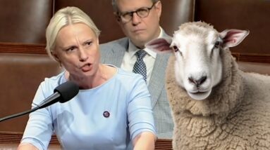 Victoria Spartz DESTROYS Democrat 'Sheep'