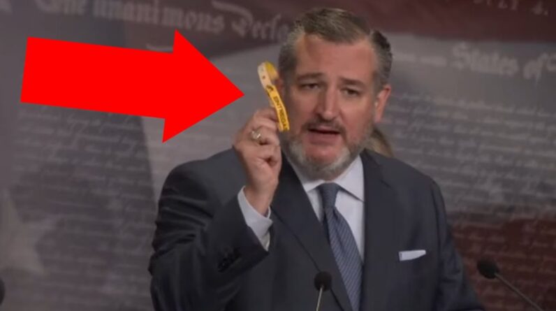 Ted Cruz DESTROYS Dems For OUT OF CONTROL Border Crisis