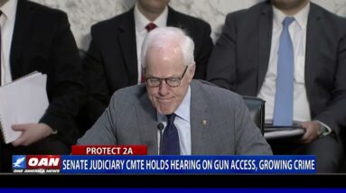 Senate Judiciary CMTE Holds Hearing On Gun Access, Growing Crime