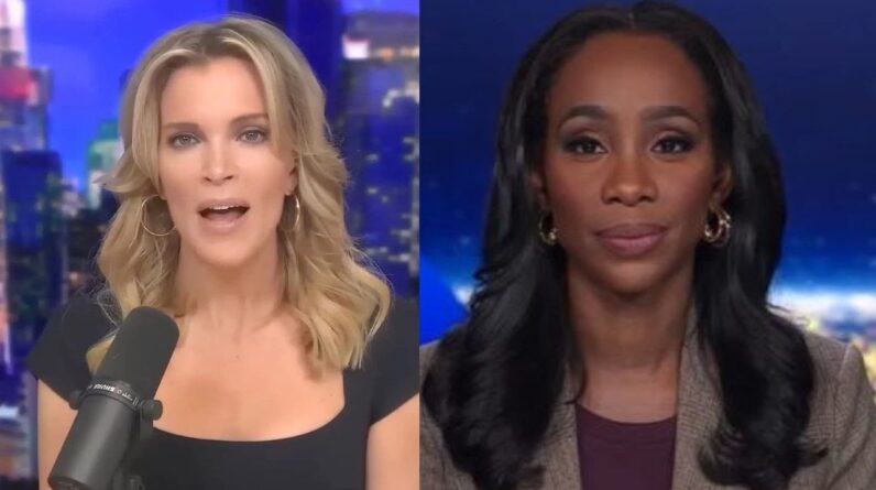 Megyn Kelly Shreds CNN Host - 'Shut The Eff Up'