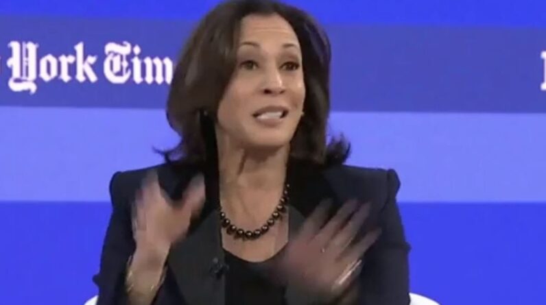 Kamala Harris Has Mental Breakdown After Reporter Confronts Her With Blistering Question