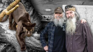 STORY: Phil Robertson Recalls Encountering a Black Panther in Louisiana
