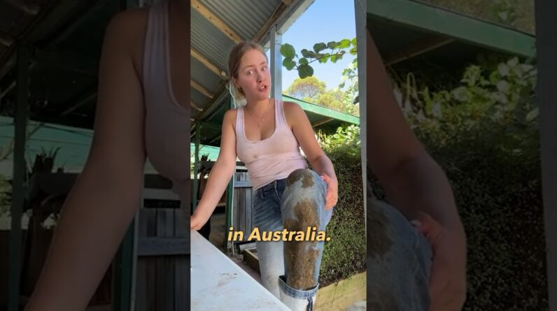 Would YOU Date an Australian Farm Girl?! 🤠