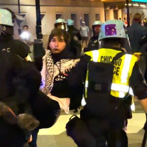 EXCLUSIVE: Multiple DNC Protester Arrests Caught on Camera