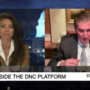 Fine Point - Inside the DNC Platform - With John Ullyot