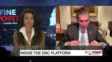 Fine Point - Inside the DNC Platform - With John Ullyot